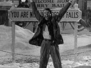 Wonderful-Yay Bedford Falls